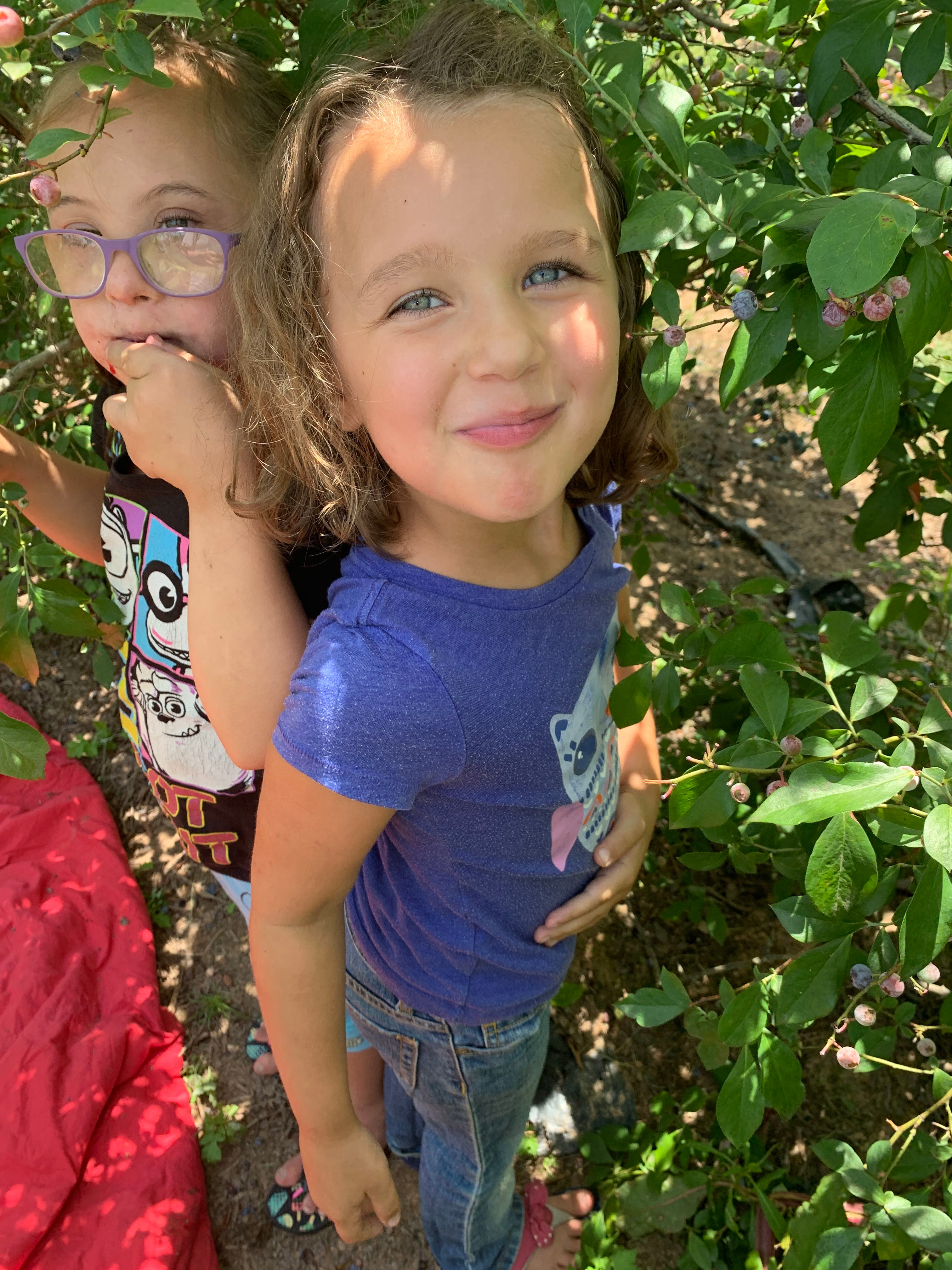 blueberries